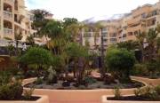 ������ �������� �� ��������, 2 �������, � �������� ��������� � Los Cristianos