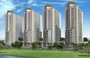 �������� � ������, �����-2014���,  Sheikh Mohammed bin Zayed Road, IMPZ, ����� <div id="prodano">��� �������</div>